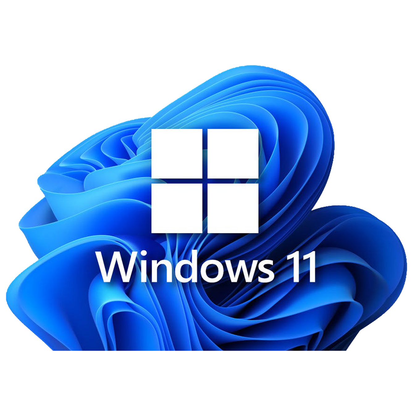 Windows 11 Devices